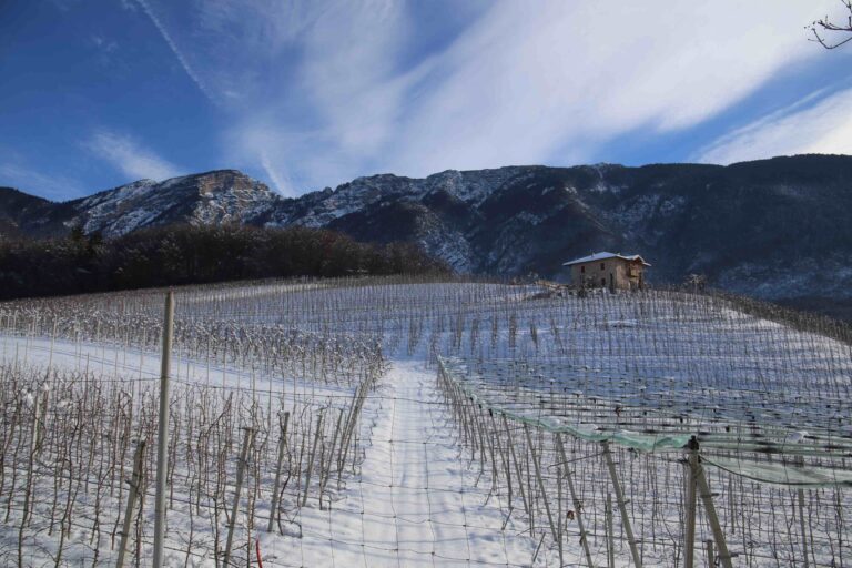 Cosa vedere in Val di Non, non solo mele e speck