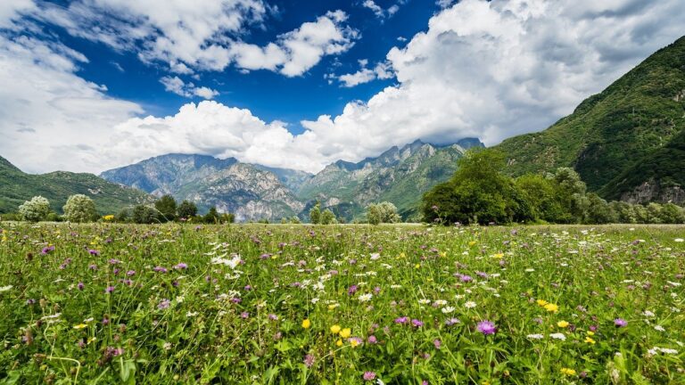 5 posti da vedere in Valtellina in inverno
