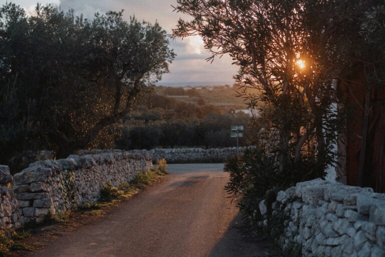 Cosa fare e cosa vedere a Fasano